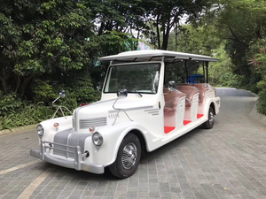 11人座电动老爷车